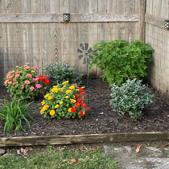 I'm originally from New England! Born in Conn. Lived in RI then Fl now NC - Picture 12 of 16